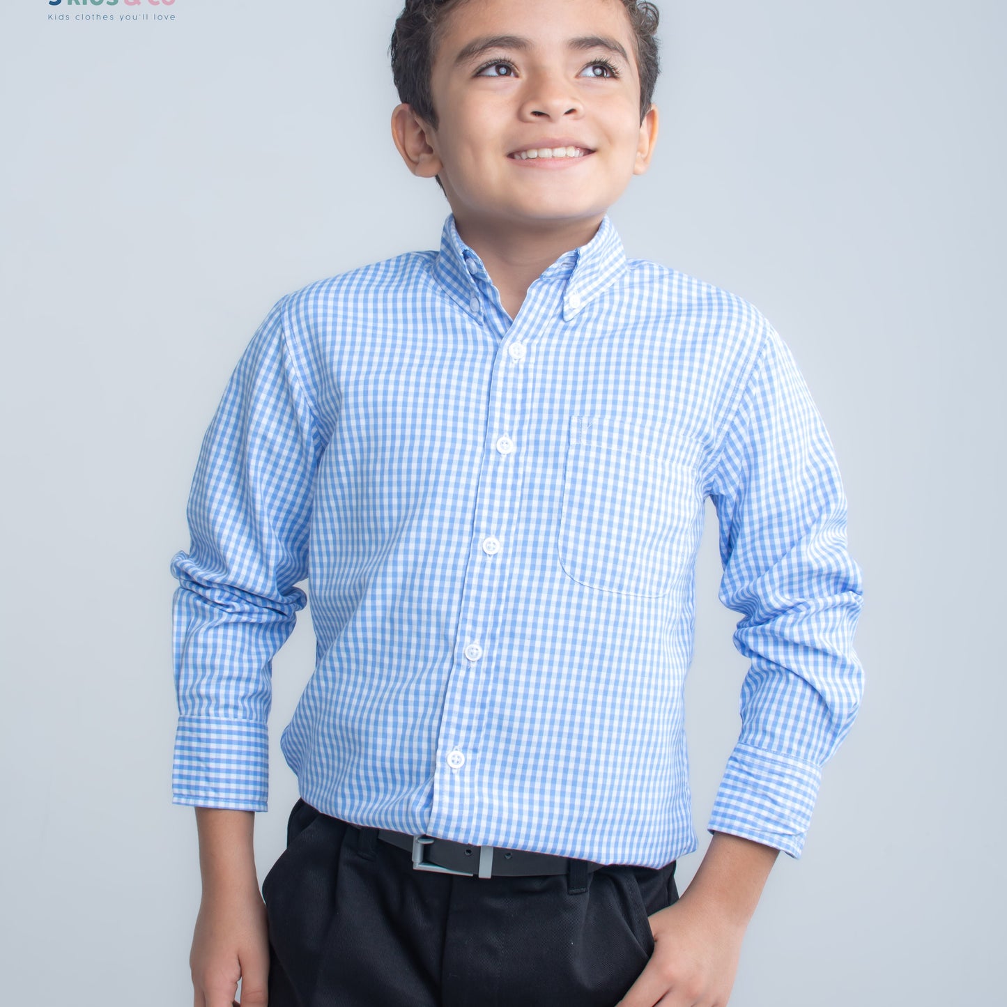 Boys' Long Sleeve Button Down All-Season Gingham Blue Plaid