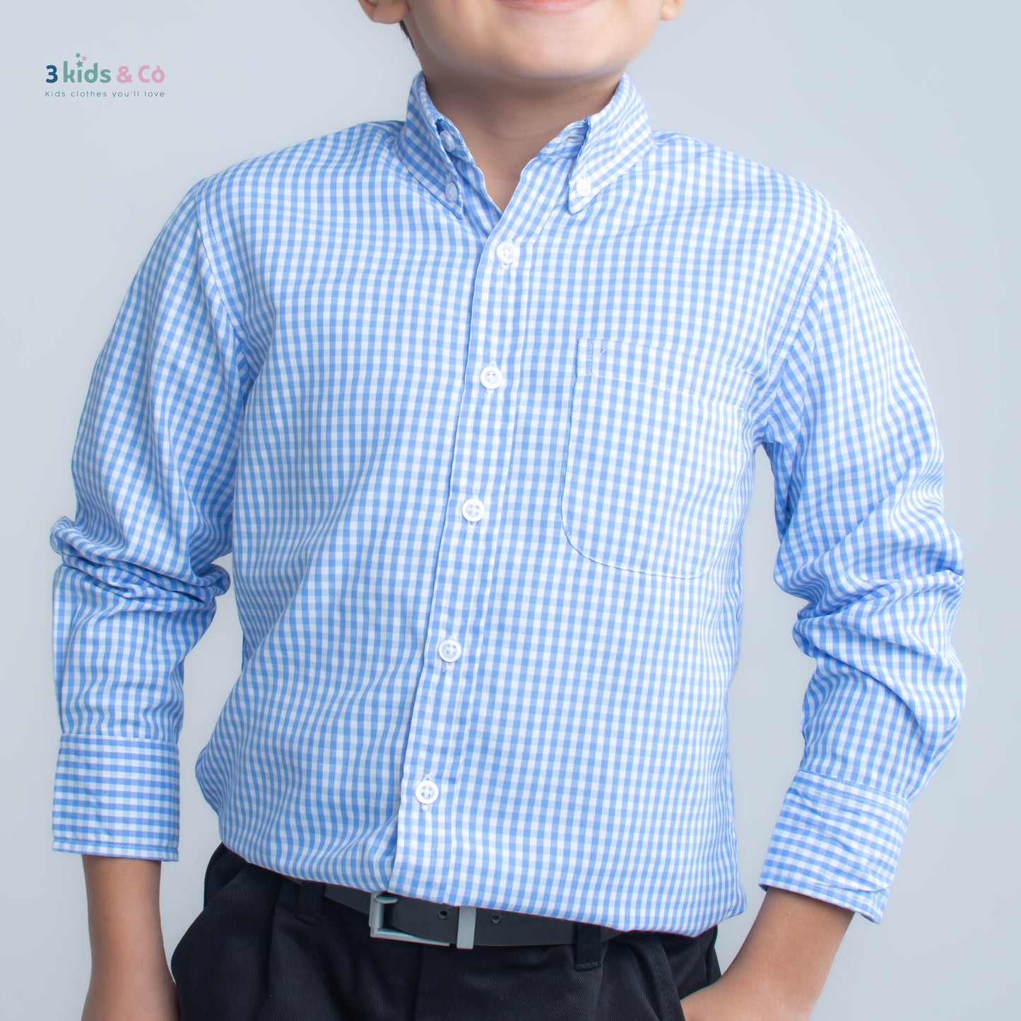 Boys' Long Sleeve Button Down All-Season Gingham Blue Plaid