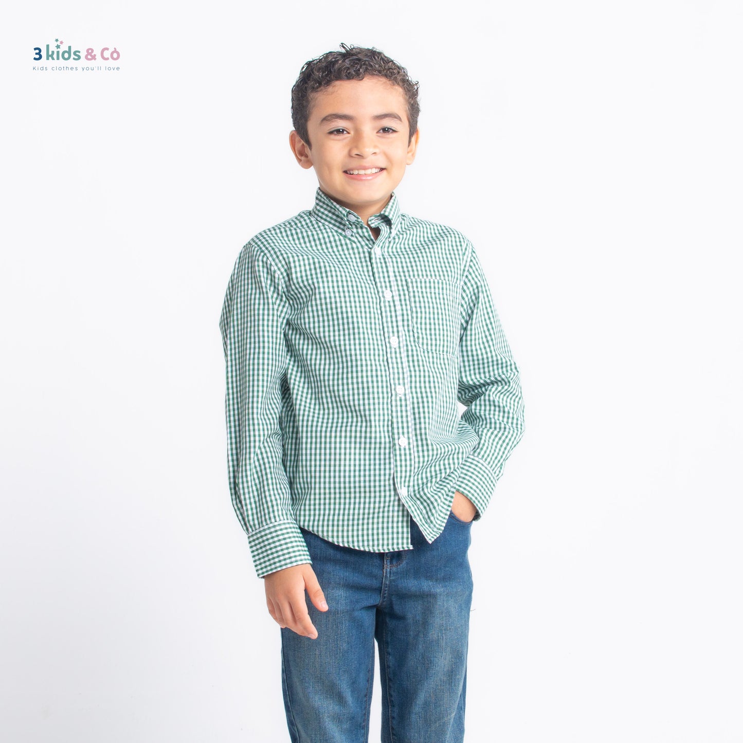 Boys' Long Sleeve Button Down All-Season Gingham Green Plaid