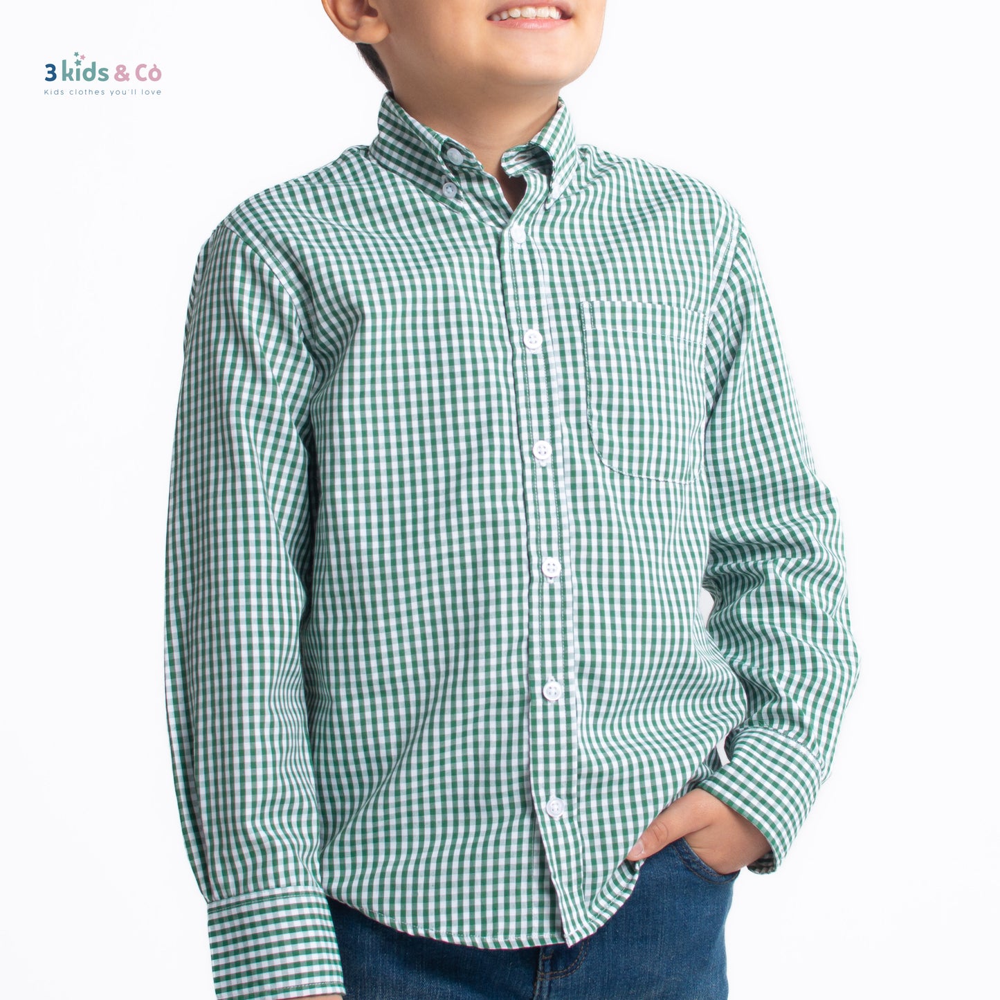 Boys' Long Sleeve Button Down All-Season Gingham Green Plaid