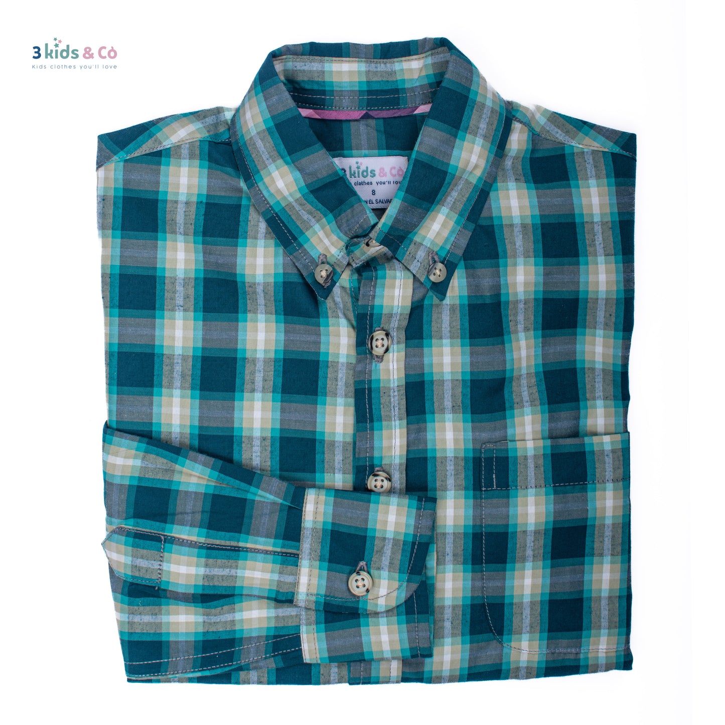 Boys' Long Sleeve Button Down Green Madras Plaid