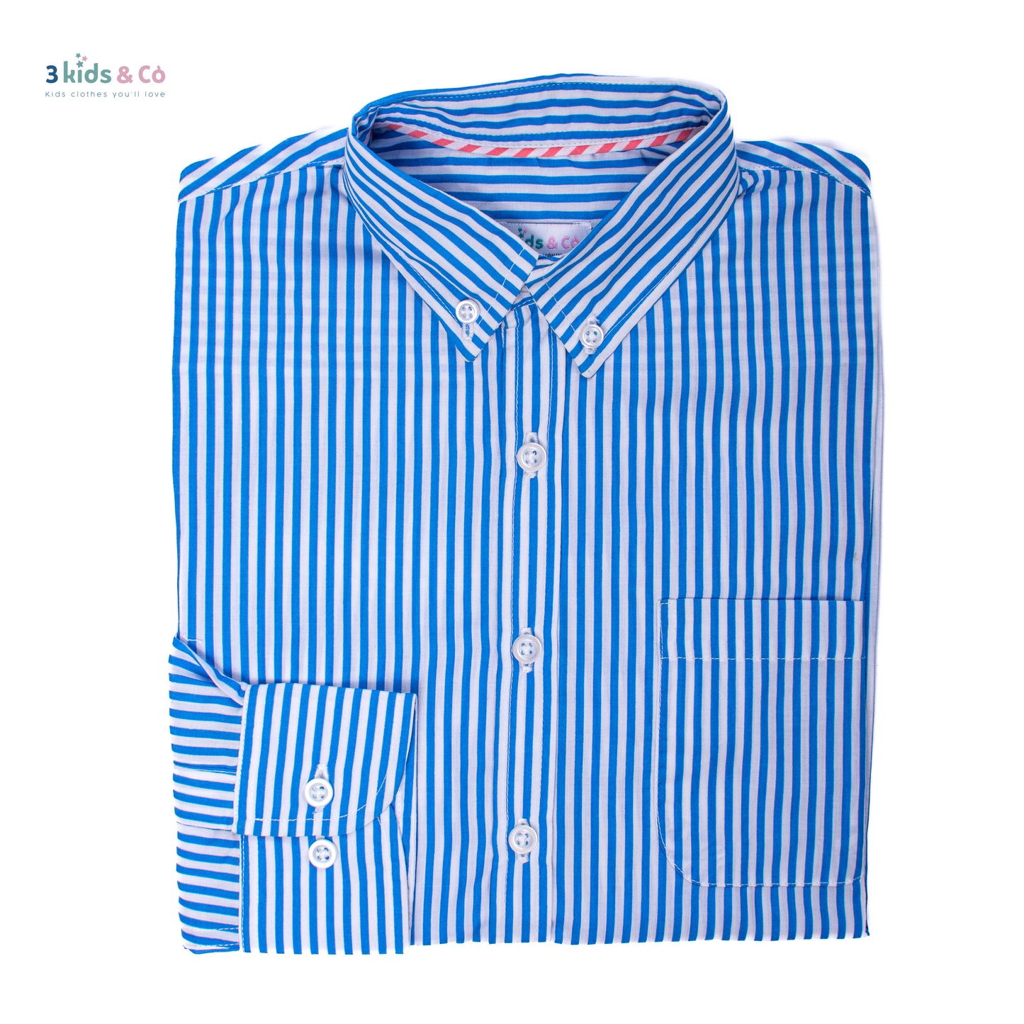 Boys' Button Down Long Sleeve Blue Striped Shirt
