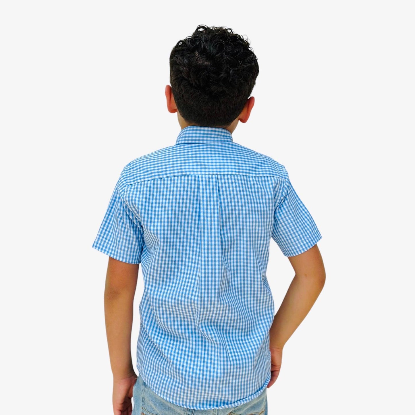 Boys' Short Sleeve Button Down Light Blue All-Season Gingham Plaid Shor Sleeve