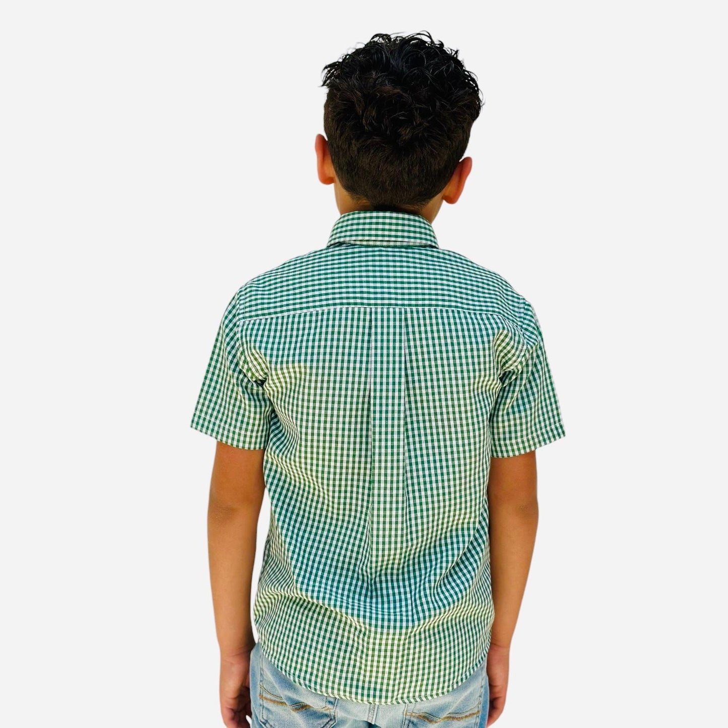 Boys' Short Sleeve Button Down Green All-Season Gingham Plaid