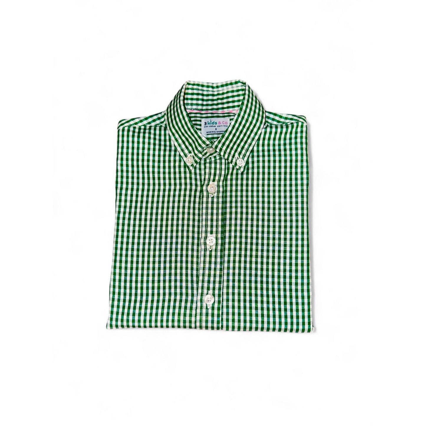 Boys' Short Sleeve Button Down Green All-Season Gingham Plaid