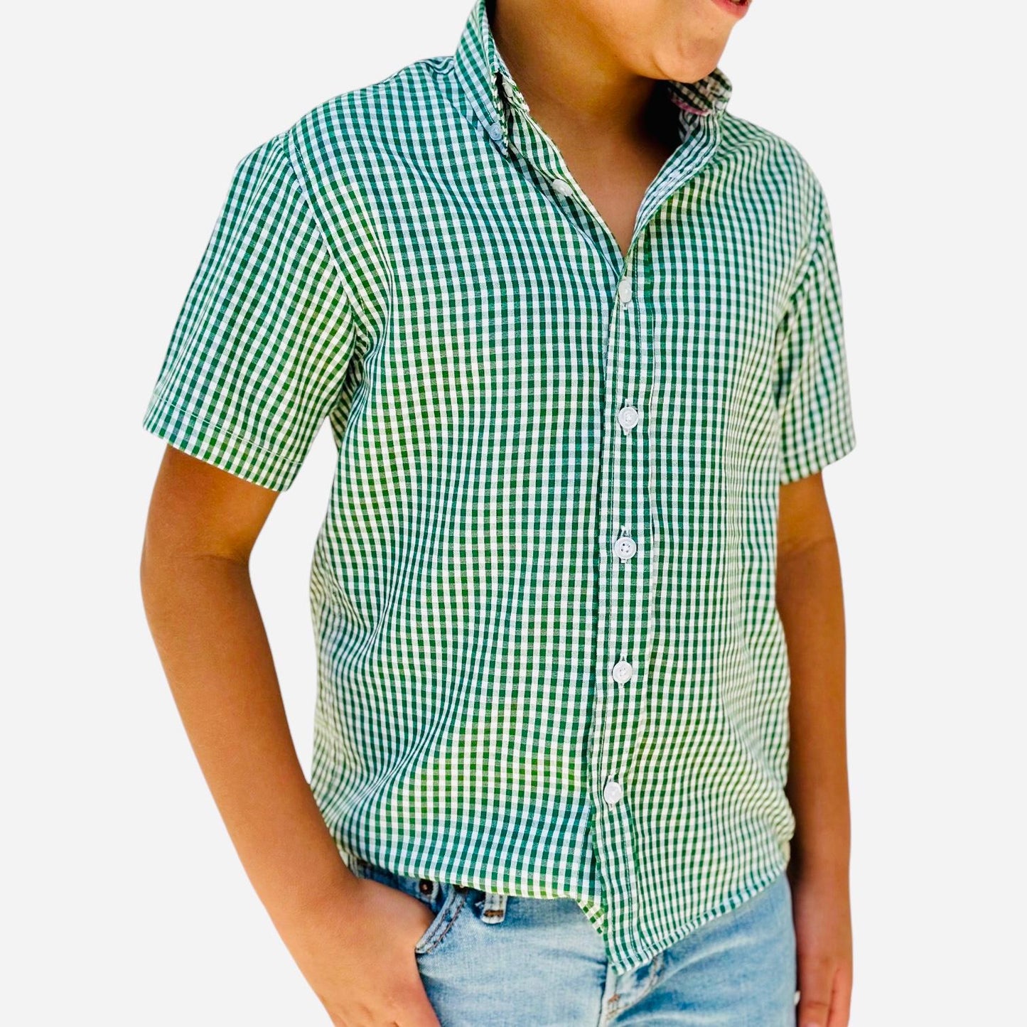 Boys' Short Sleeve Button Down Green All-Season Gingham Plaid