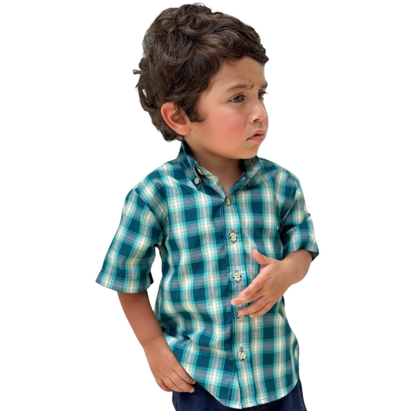 Boys' Short Sleeve Button Down Green Madras Plaid