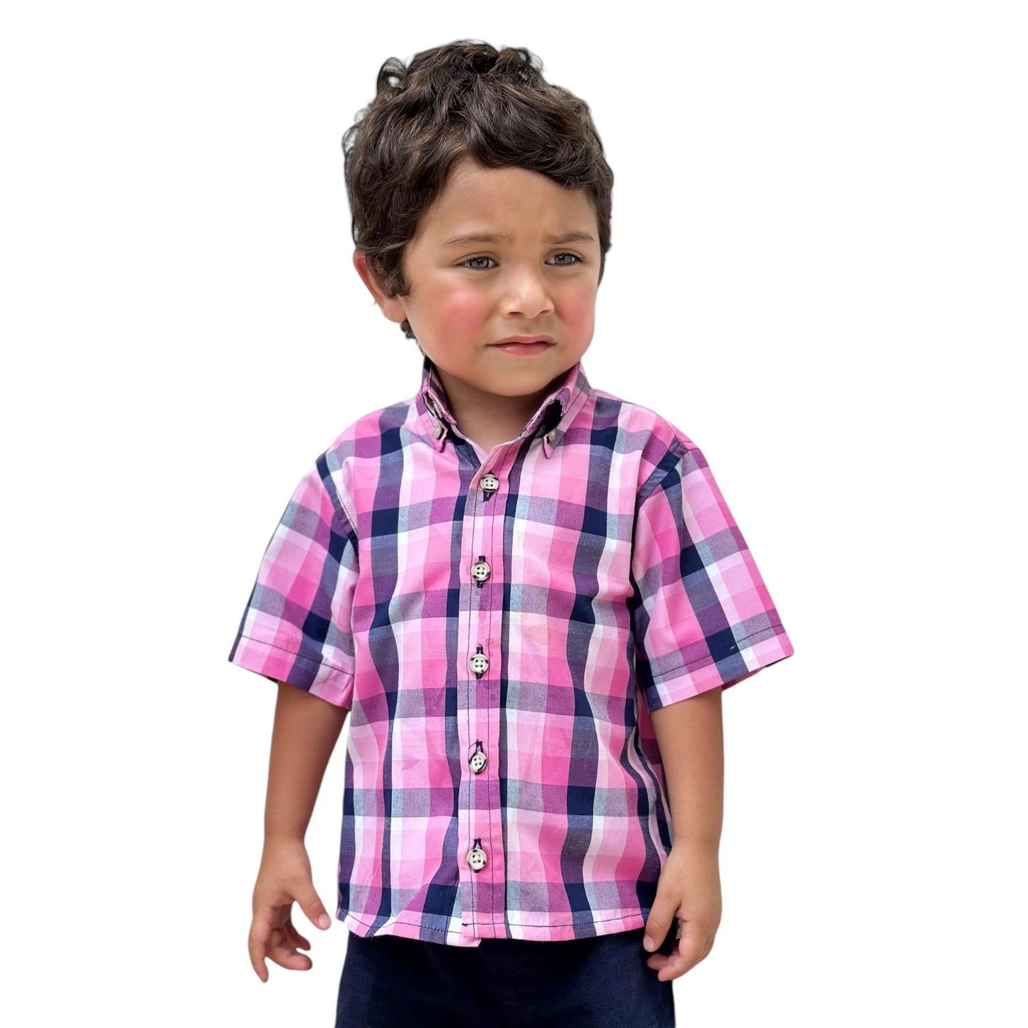 Boys' Short Sleeve Button Down Pink Madras Plaid