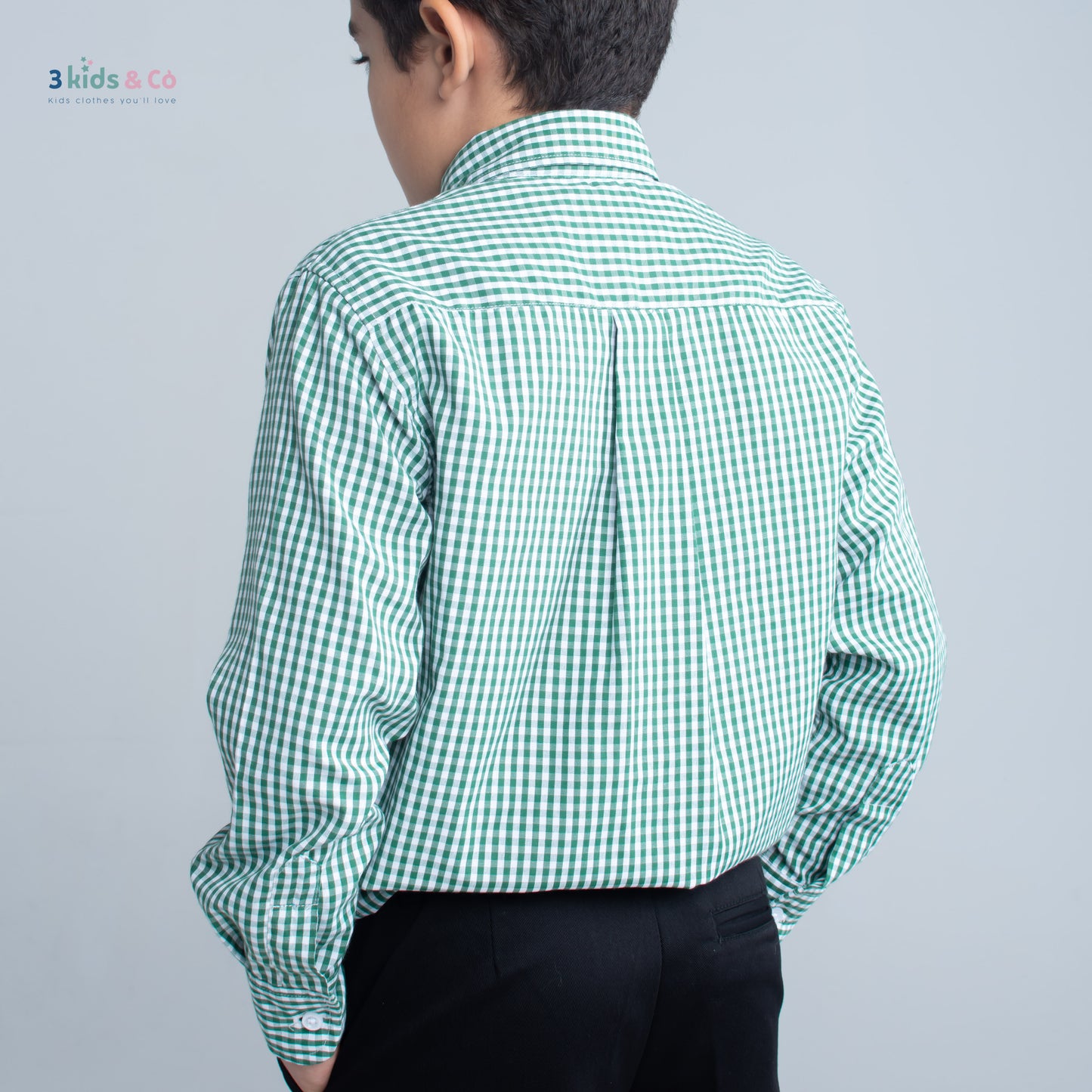 Boys' Long Sleeve Button Down All-Season Gingham Green Plaid