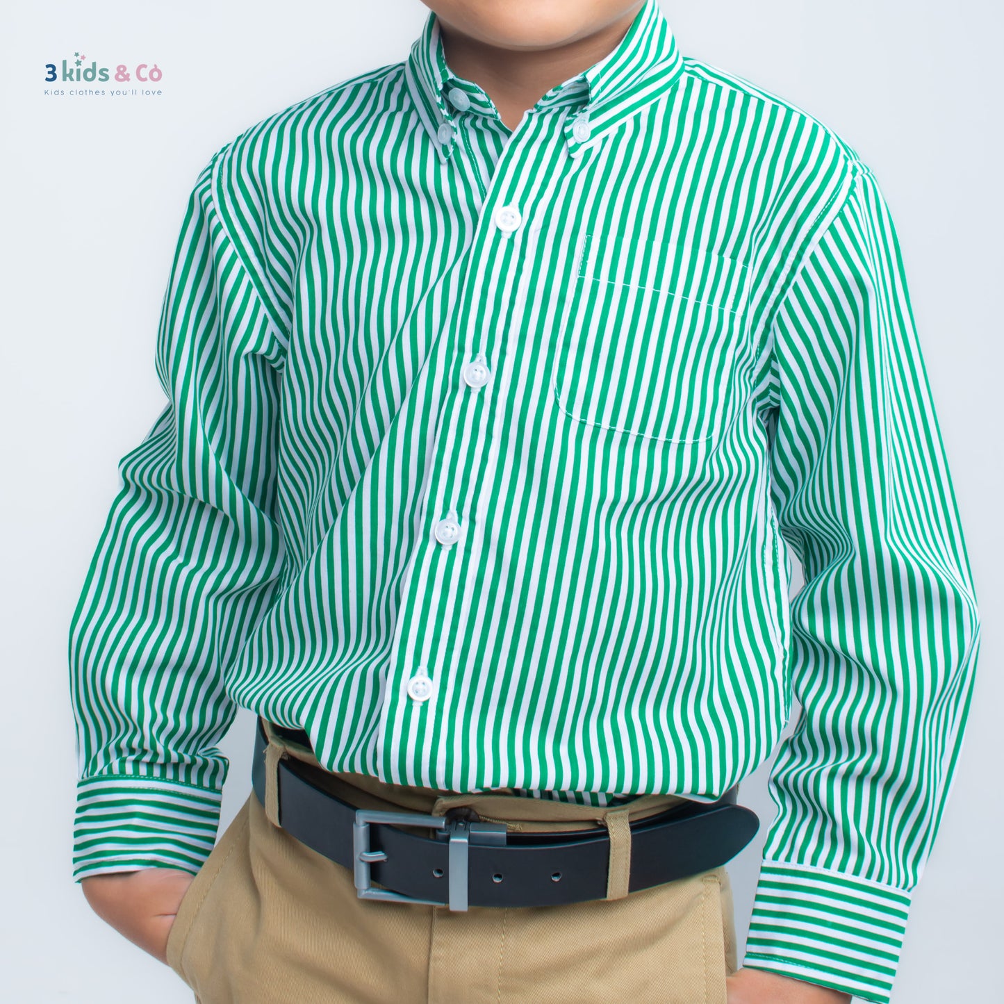 Boys' Button Down Long Sleeve Green Striped Shirt