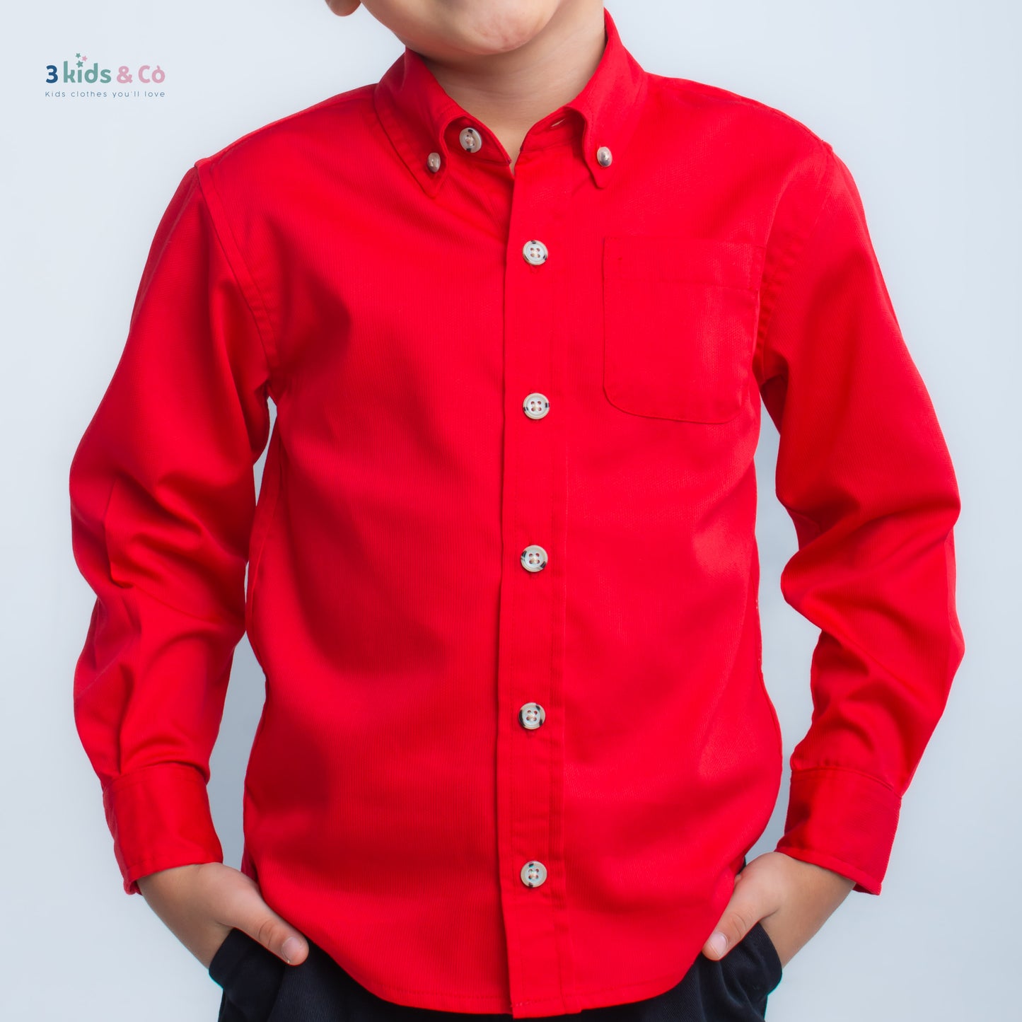 Boys' Button Down Long Sleeve Pique Cherry Textured Solids