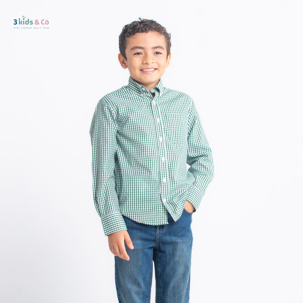 Boys' Long Sleeve Button Down All-Season Gingham Green Plaid
