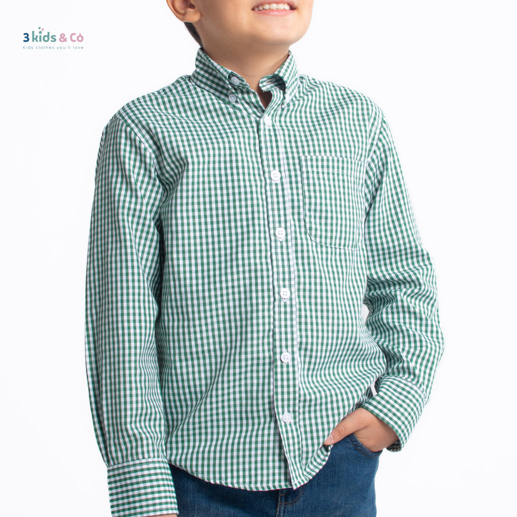 Boys' Long Sleeve Button Down All-Season Gingham Green Plaid