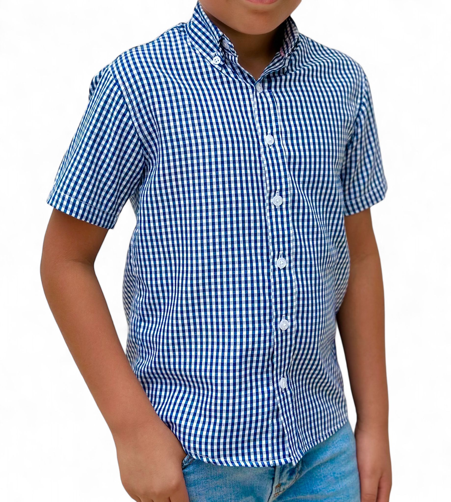 Boys' Short Sleeve Button Down Blue All-Season Gingham Plaid